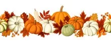 This image has an empty alt attribute; its file name is Pumpkins-jpg.webp
