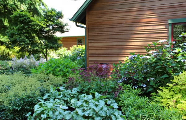 14 Beautiful Container Gardens for Shady Spots
