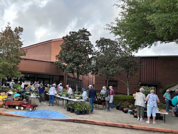 4/1/2026 GBTB Plant Sale