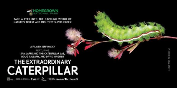 5/2/2026 @ 3:00 PM                                    Documentary screening: “The Extraordinary Caterpillar” by Jeff McKay
