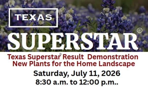 Texas Superstar Result Demonstration – New Plants for the Home Landscape