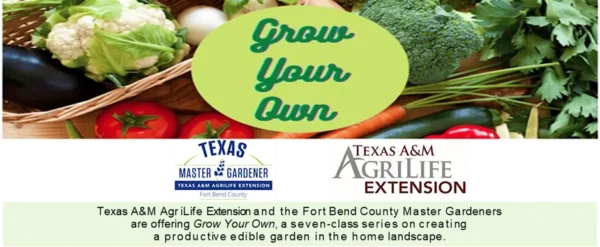 8/8/2026 – Grow Your Own – Cool Season Vegetables and Herbs