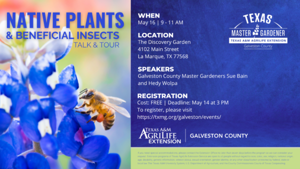 5/16/2026 – 9 – 11 am – Native Plants & Beneficial Insects Talk & Tour