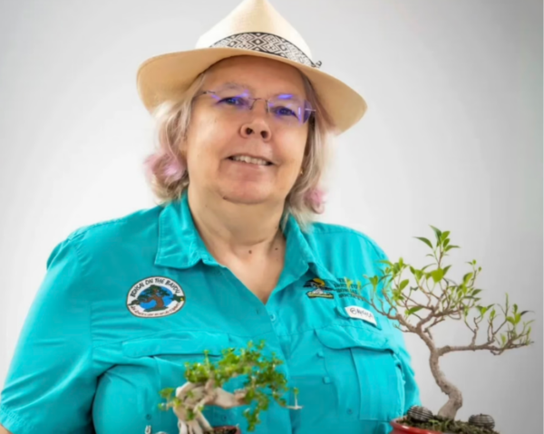 6/18/2026 – Why Bonsai? Why Not? 