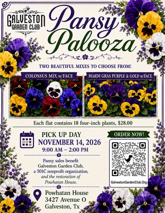 Galveston Garden Club’s Annual Pansy Sale