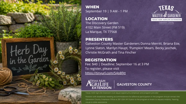 Join Galveston County Master Gardeners Donna Merritt, Briana Etie, and the Herb Team for the 1st Annual Herb Day in the Garden