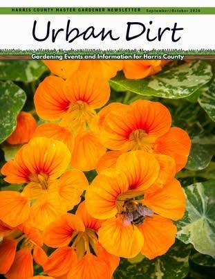 The September/October edition of Urban Dirt is here: