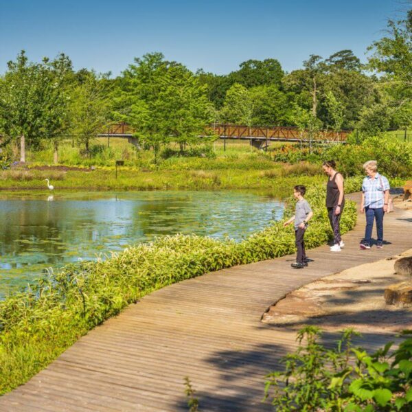 October 28, 2026 – GBTB Trip to Houston Botanical Gardens