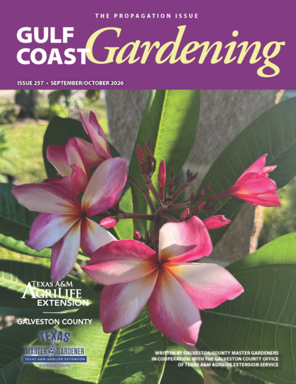 GCMG Gulf Coast Gardening Newsletter – September/October 2026