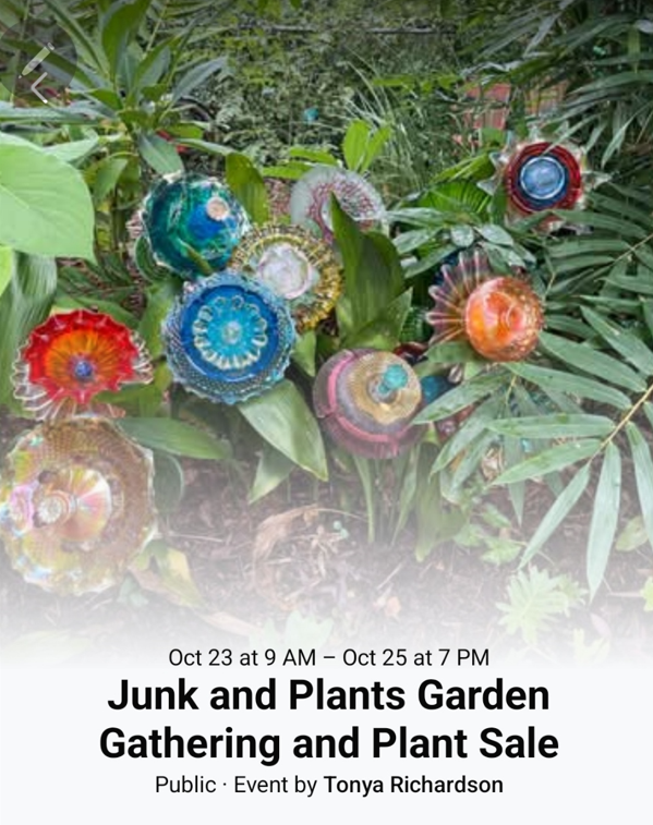 Junk and Plant Gardening and Plant Sale